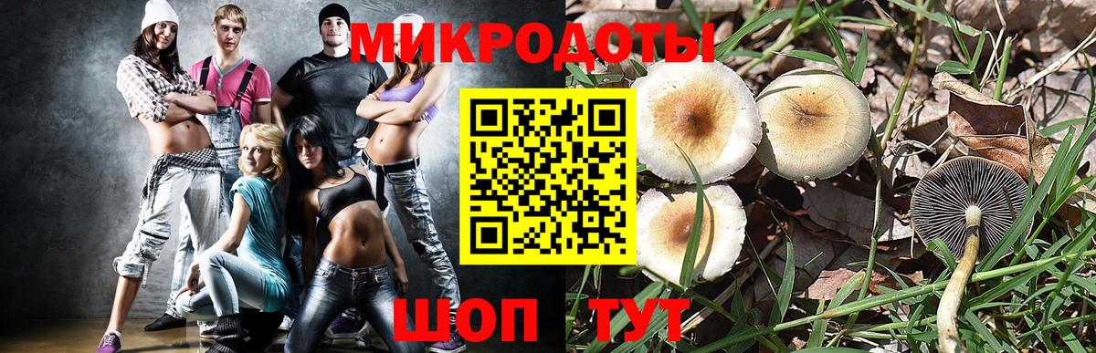 Каменск-Уральский  Псилоцибиновые грибы мицелий  Галлюциногенные грибы MAGIC MUSHROOMS  Вход с VPN 